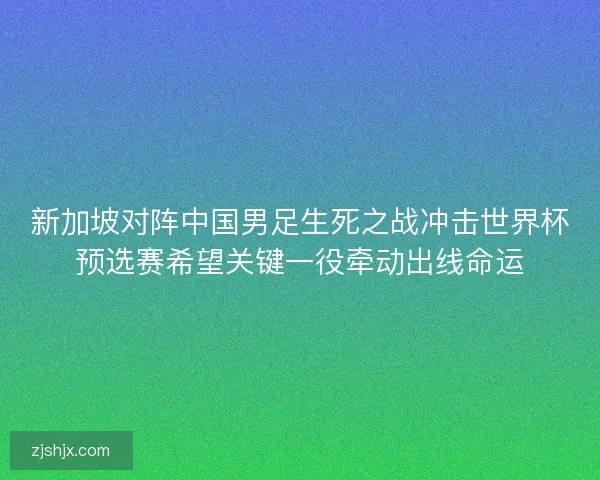 新加坡对阵中国男足生死之战冲击世界杯预选赛希望关键一役牵动出线命运