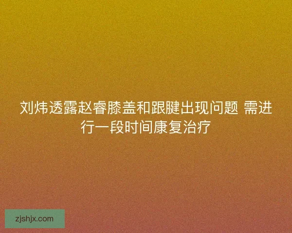 刘炜透露赵睿膝盖和跟腱出现问题 需进行一段时间康复治疗