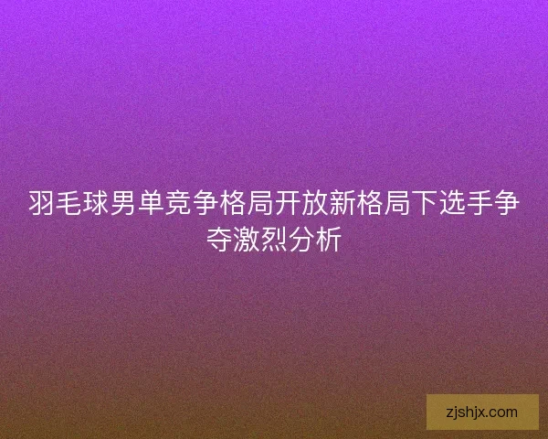 羽毛球男单竞争格局开放新格局下选手争夺激烈分析